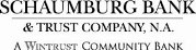 Schaumburg_MKTG_Logo 1 
